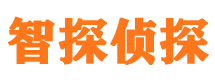 郊区市私家侦探